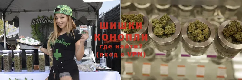 Каннабис Ganja  Будённовск 